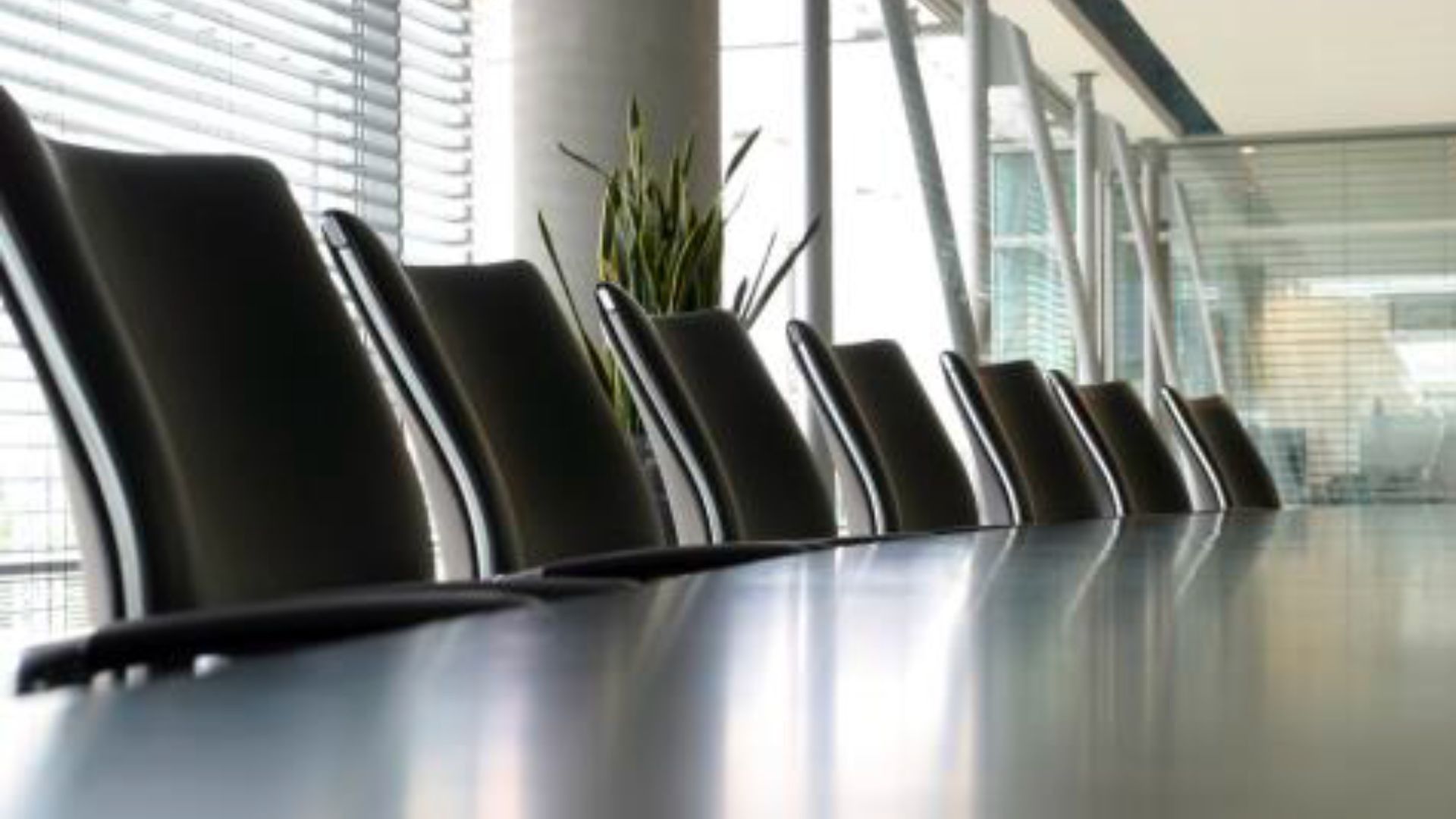 iris-Corporate-Governance-1